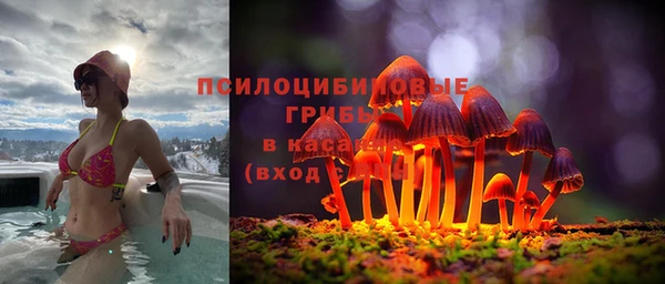 герыч Сатка